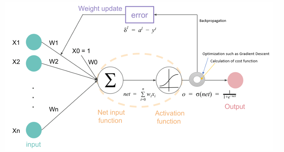 Backpropagation Training